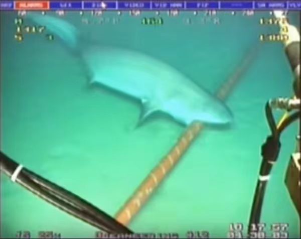 wireshark蚌埠住了-HackBug是一个专注于网络安全-渗透测试-漏洞挖掘-暗网黑客论坛-中国黑客论坛-黑客技术-黑客团队-黑客业务-TT科技-TT黑客-TT语音-黑客服务的综合平台。