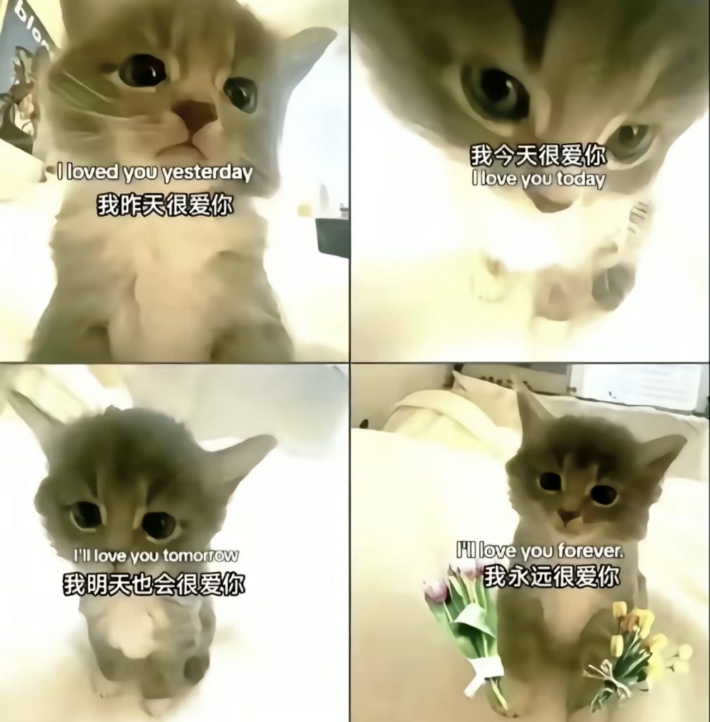 评论图片-HackBug是一个专注于网络安全-渗透测试-漏洞挖掘-暗网黑客论坛-中国黑客论坛-黑客技术-黑客团队-黑客业务-TT科技-TT黑客-TT语音-黑客服务的综合平台。